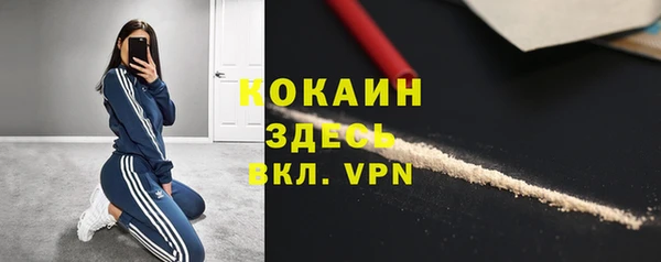 индика Майский