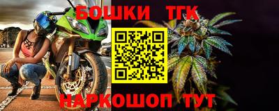 индика Ирбит